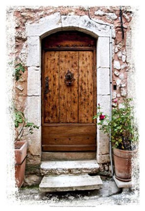 Framed Doors of Europe V Print