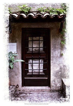 Framed Doors of Europe XVI Print