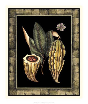 Framed Tropical Bounty IV Print