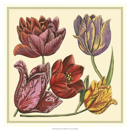 Framed Floral Spray II Print