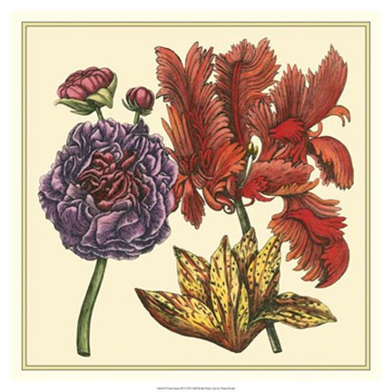 Framed Floral Spray III Print