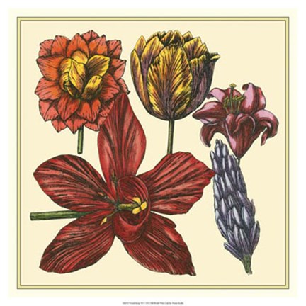 Framed Floral Spray VI Print