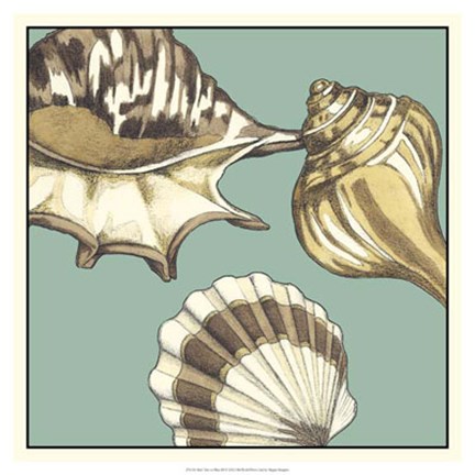 Framed Shell Trio on Blue III Print