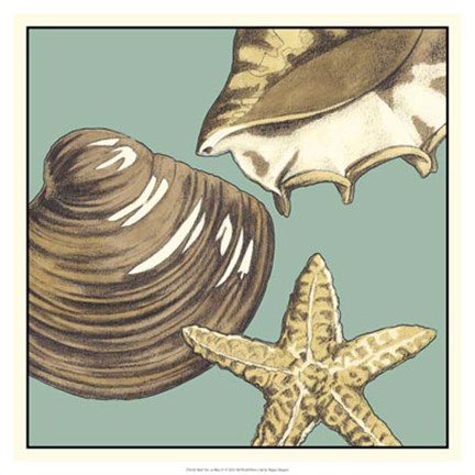 Framed Shell Trio on Blue IV Print