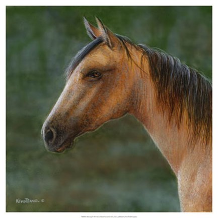 Framed Mustang Print