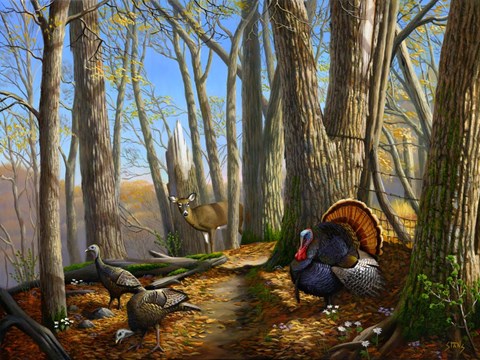 Framed Along the Fence Print