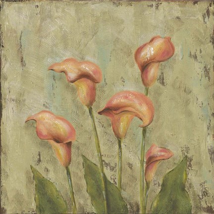 Framed Sunlight III Print