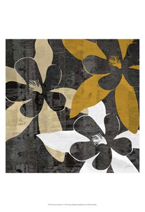 Framed Bloomer Squares IV Print