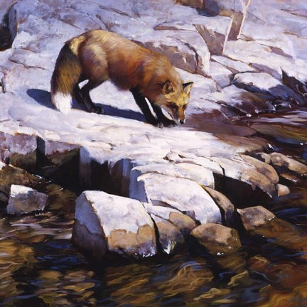 Framed Transience Print