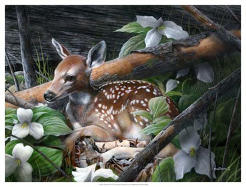 Framed Undercover I Print