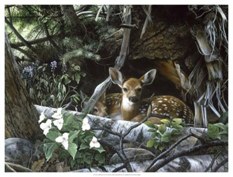 Framed Undercover II Print