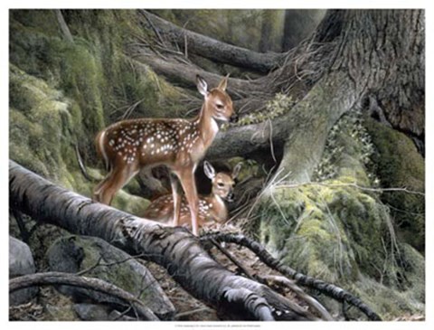 Framed Awakening Print