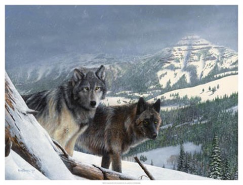 Framed Vantage Point III Print