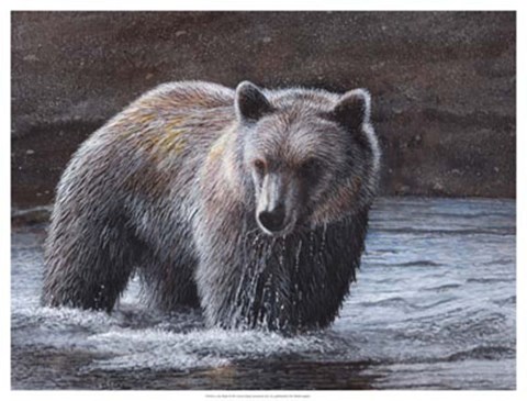 Framed Lone Wader Print