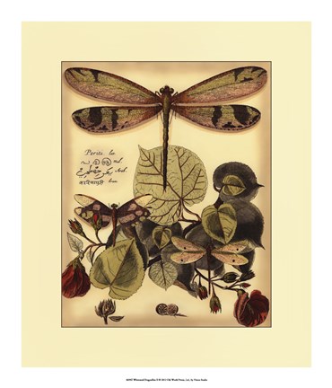 Framed Whimsical Dragonflies II Print