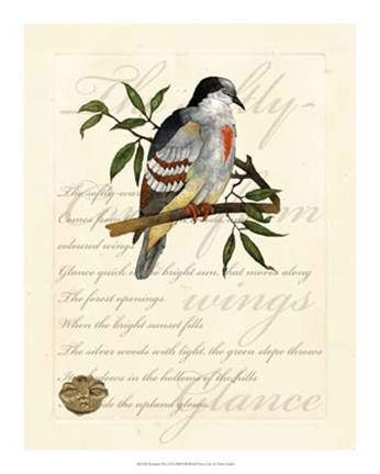 Framed Romantic Dove II Print