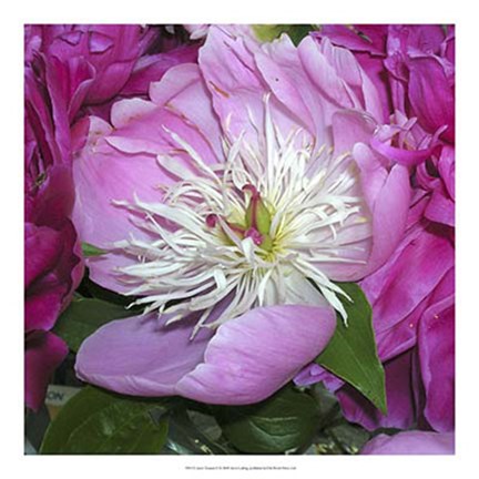 Framed June&#39;s Treasure II Print