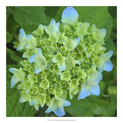 Framed June&#39;s Treasure IV Print