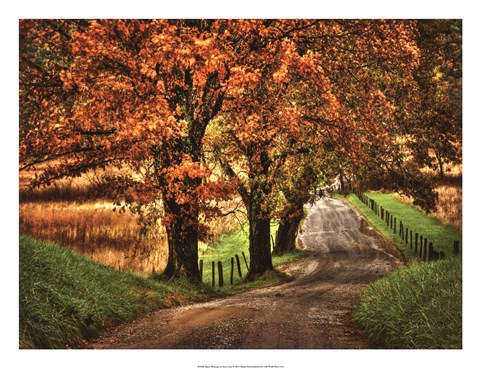 Framed Rainy Morning on Hyatt Lane Print