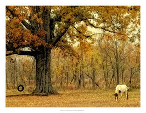 Framed Lone Horse Grazing Print