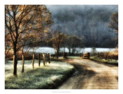 Framed Morning Frost Print