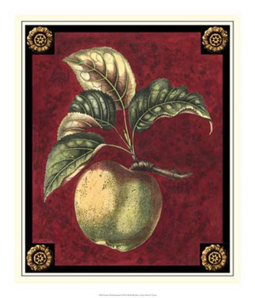 Framed Pomme De Hubbardston Print