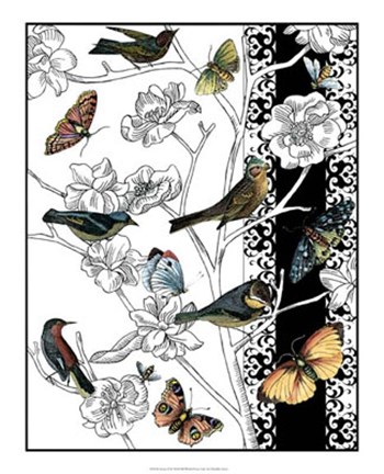 Framed Aviary II Print