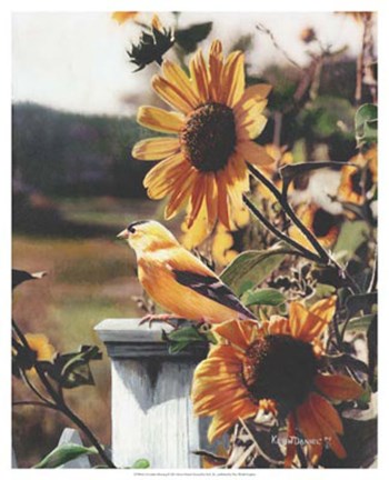 Framed Golden Morning Print