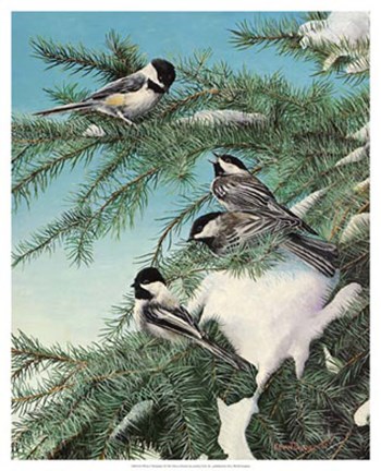 Framed Winter Chicadees Print