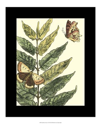 Framed Butterflies &amp; Leaves I Print