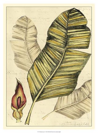 Framed Reminiscence I Print