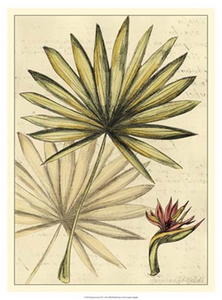 Framed Reminiscence IV Print