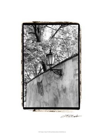 Framed Glimpses of Prague IV Print