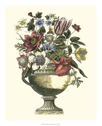 Framed Floral Splendor II Print