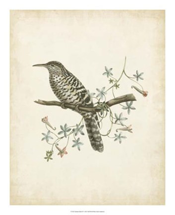 Framed Delicate Birds IV Print