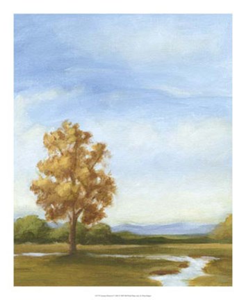 Framed Summer Horizons V Print