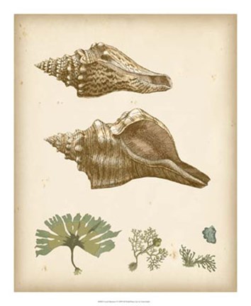 Framed Coastal Memories I Print