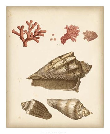 Framed Coastal Memories II Print