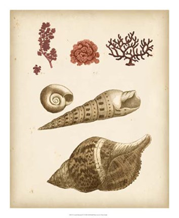 Framed Coastal Memories IV Print