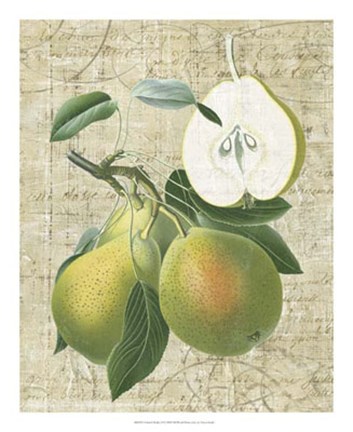 Framed Orchard Medley II Print