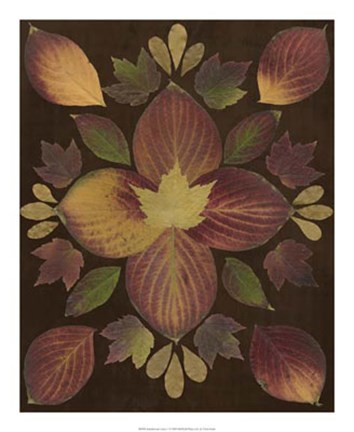 Framed Kaleidoscope Leaves V Print