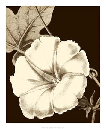 Framed Glorious Blooms II Print