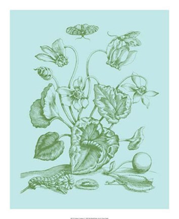 Framed Spring Cyclamen I Print