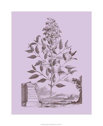 Framed Romantic Jasmine Print