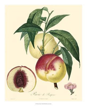 Framed Peaches Print