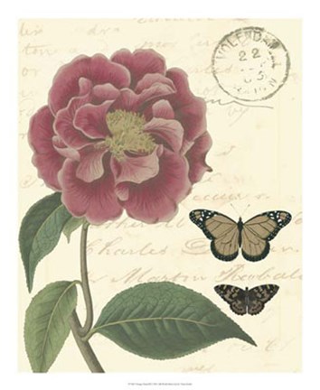 Framed Vintage Floral III Print