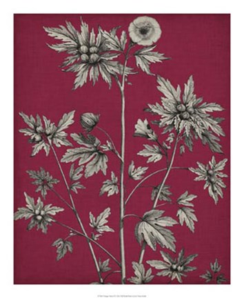 Framed Vivid Chintz II Print