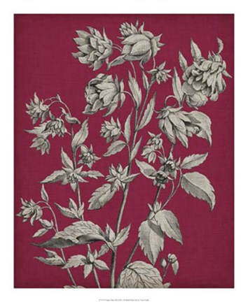 Framed Vivid Chintz III Print