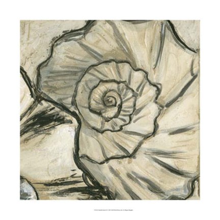 Framed Seashell Spiral II Print