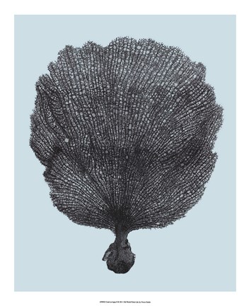 Framed Coral on Aqua II Print